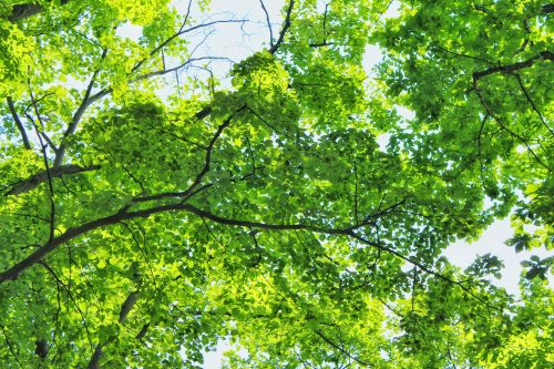 国からもらえる給付金 一覧